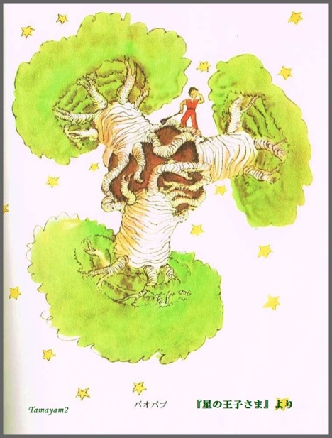 星の王子さま」に出てきた、バオバブの樹 - sharelog